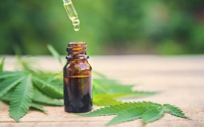 CBD Tinctures vs. Oils: Which One is Right for You?