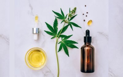 CBD vs. THC: What’s the Difference and How Do They Work?